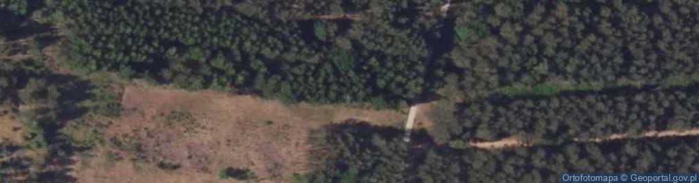 Zdjęcie satelitarne Wólka-Przedmieście ul.