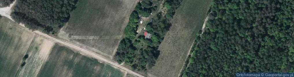 Zdjęcie satelitarne Wólka ul.