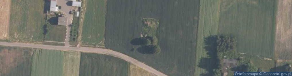Zdjęcie satelitarne Woźniki-Kolonia ul.