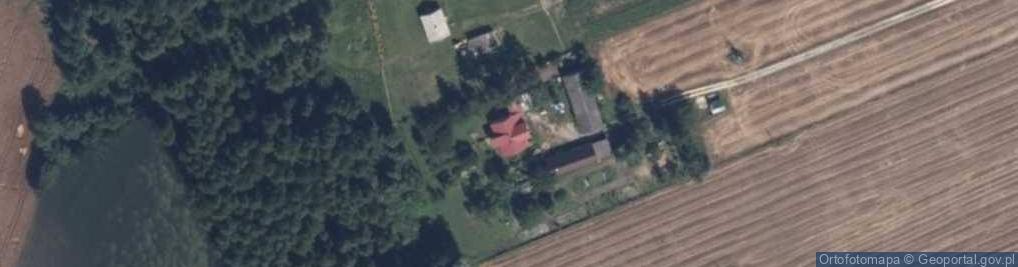 Zdjęcie satelitarne Woźniki-Paklewy ul.