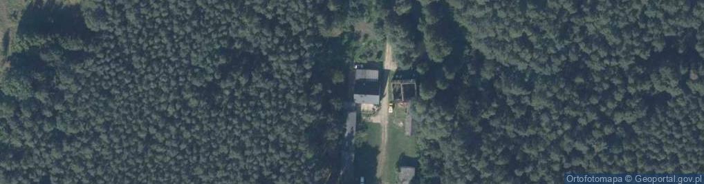 Zdjęcie satelitarne Wróblewo ul.