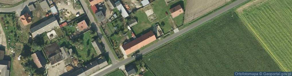Zdjęcie satelitarne Wróżewy ul.