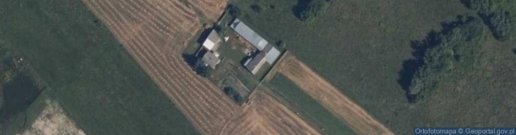 Zdjęcie satelitarne Wycinki ul.