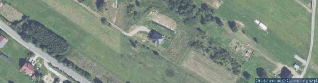 Zdjęcie satelitarne Wyzwolenia ul.