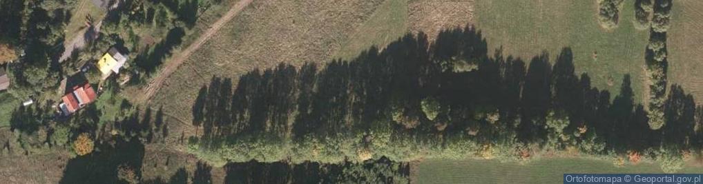 Zdjęcie satelitarne Wyszyńskiego Stefana, ks. kard. ul.