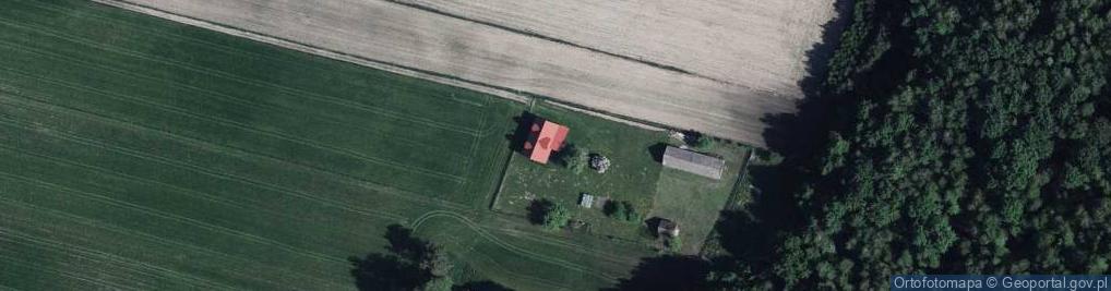 Zdjęcie satelitarne Wygnanka ul.