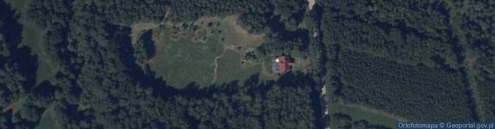Zdjęcie satelitarne Wywóz Kolonia ul.