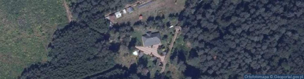 Zdjęcie satelitarne Wyzgi ul.