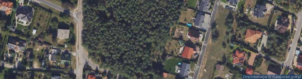 Zdjęcie satelitarne Zajęcza ul.