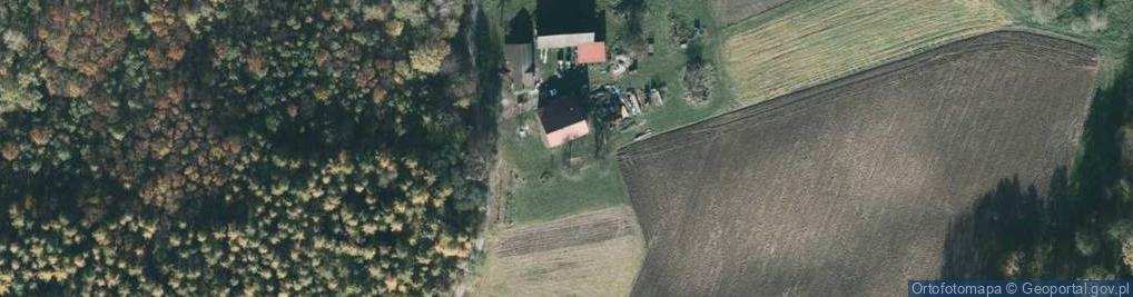 Zdjęcie satelitarne Zalesie ul.