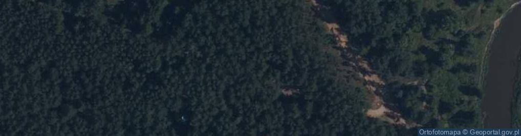 Zdjęcie satelitarne Zagaje ul.