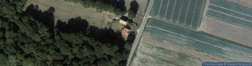 Zdjęcie satelitarne Zagajewice ul.