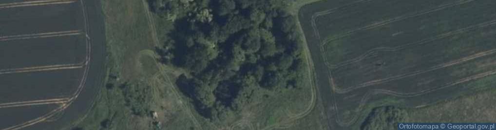 Zdjęcie satelitarne Zakrzewiec ul.