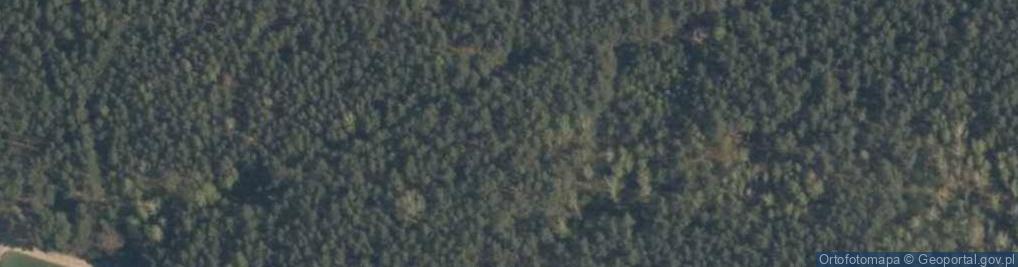 Zdjęcie satelitarne Zalew ul.