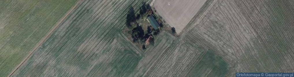 Zdjęcie satelitarne Zduny ul.