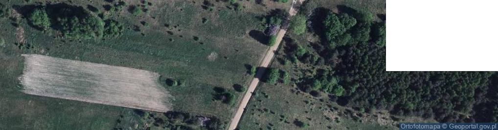 Zdjęcie satelitarne Żdżarka ul.
