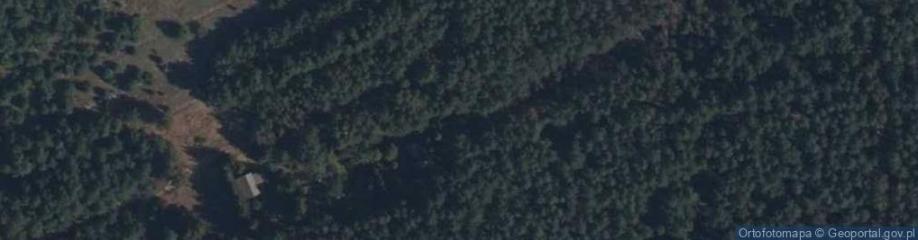 Zdjęcie satelitarne Zegrzyńska ul.