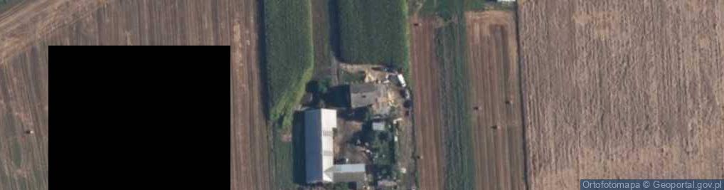 Zdjęcie satelitarne Zgliczyn Witowy ul.