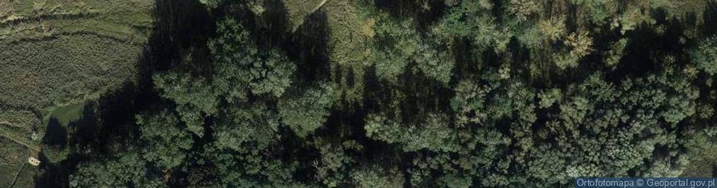 Zdjęcie satelitarne Zielona Aleja ul.