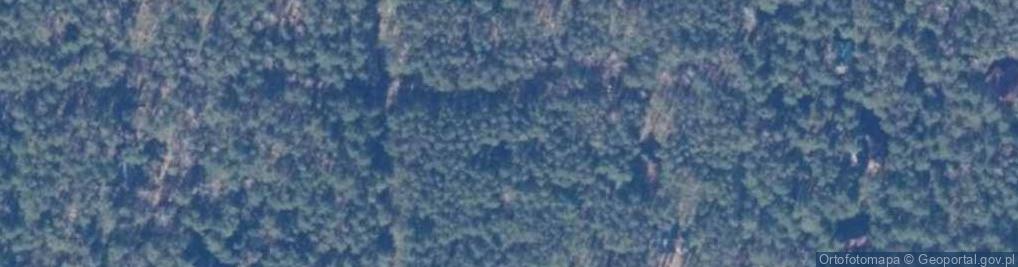 Zdjęcie satelitarne Zielonych Marzeń ul.