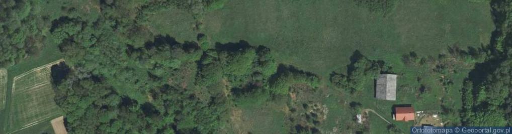 Zdjęcie satelitarne Zielony Stok ul.