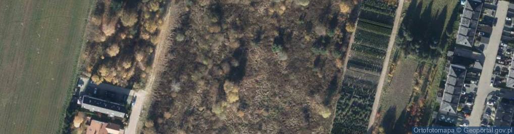 Zdjęcie satelitarne Zielone Ogrody ul.