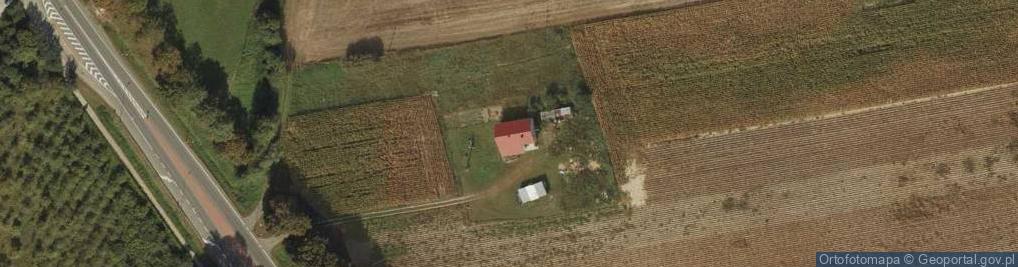 Zdjęcie satelitarne Złotopole ul.