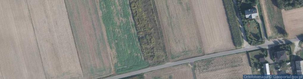 Zdjęcie satelitarne Zofiówka ul.
