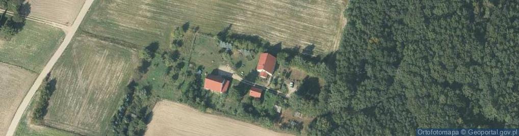 Zdjęcie satelitarne Żółwiniec ul.