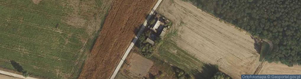 Zdjęcie satelitarne Żółwiny ul.