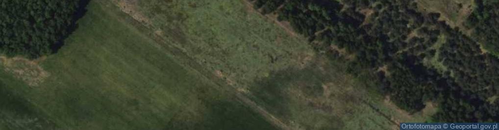 Zdjęcie satelitarne Żurawia ul.