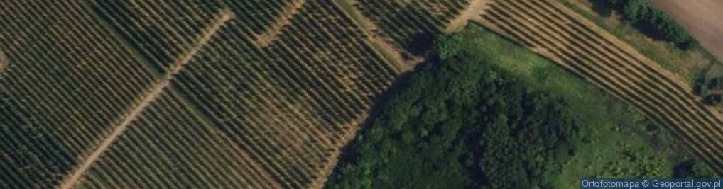 Zdjęcie satelitarne Żurawia ul.