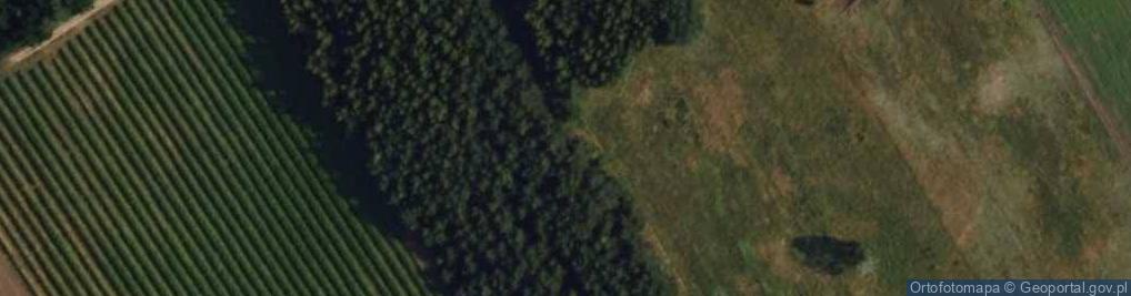 Zdjęcie satelitarne Żurawia ul.