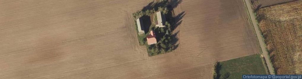 Zdjęcie satelitarne Żurawice ul.