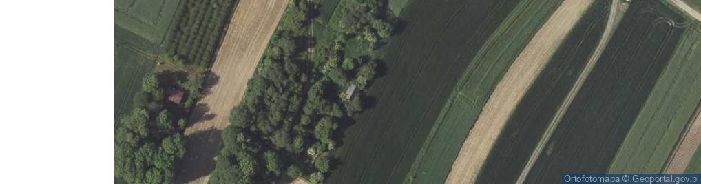 Zdjęcie satelitarne Żurawie ul.