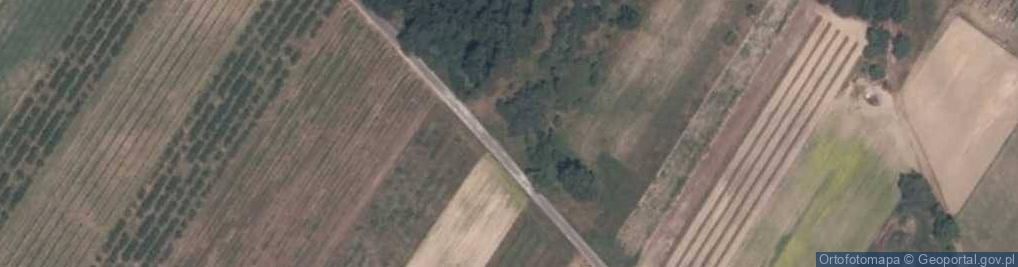 Zdjęcie satelitarne Żurawka ul.