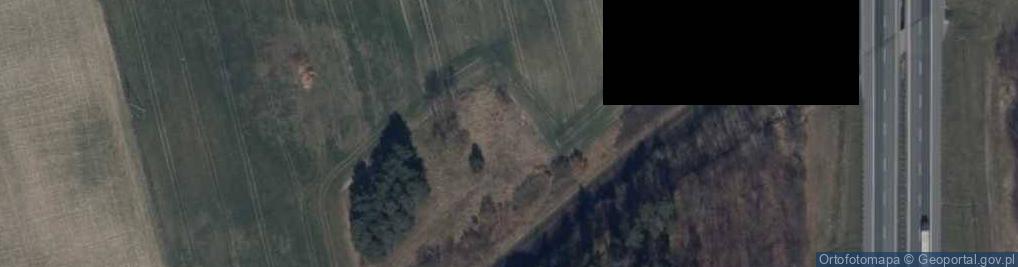 Zdjęcie satelitarne Zwierzynek ul.