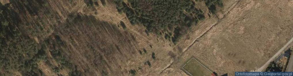 Zdjęcie satelitarne Zygmunta Starego ul.