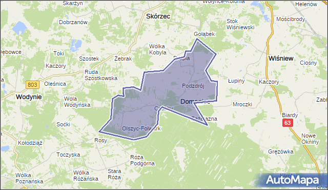 gmina Domanice - powiat siedlecki na mapie Targeo