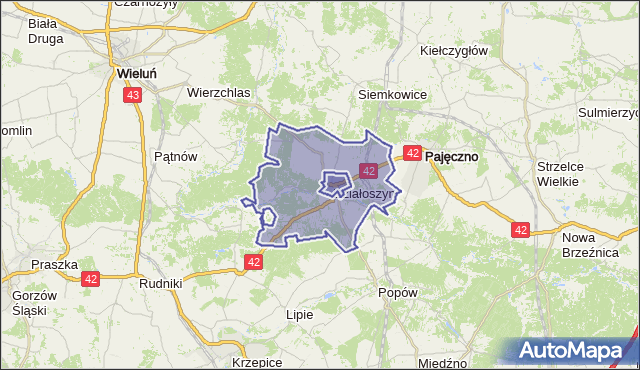 gmina Działoszyn - powiat pajęczański na mapie Targeo