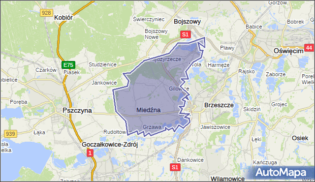 gmina Miedźna - powiat pszczyński na mapie Targeo
