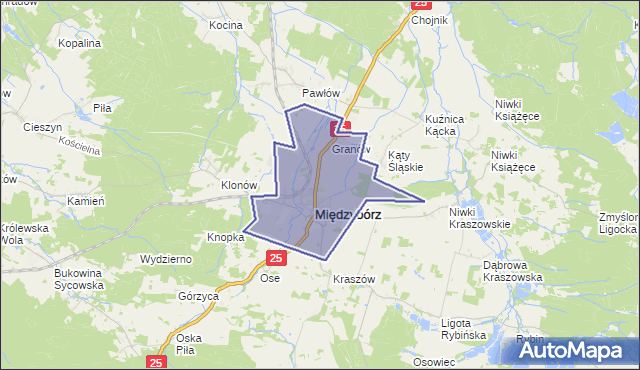 gmina Międzybórz - powiat oleśnicki na mapie Targeo
