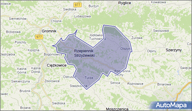 gmina Rzepiennik Strzyżewski - powiat tarnowski na mapie Targeo