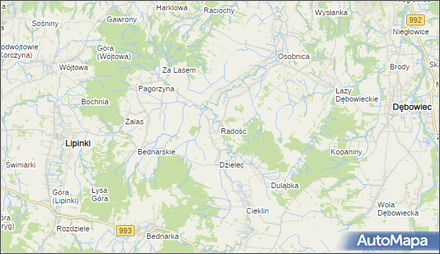 mapa Radość gmina Dębowiec, Radość gmina Dębowiec na mapie Targeo