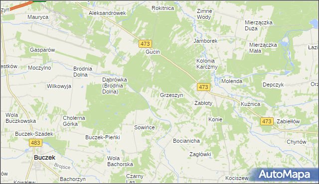 mapa Grzeszyn gmina Buczek, Grzeszyn gmina Buczek na mapie Targeo