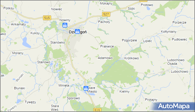 mapa Adamowo gmina Stary Dzierzgoń, Adamowo gmina Stary Dzierzgoń na mapie Targeo