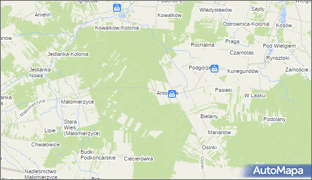 mapa Antoniów gmina Ciepielów, Antoniów gmina Ciepielów na mapie Targeo