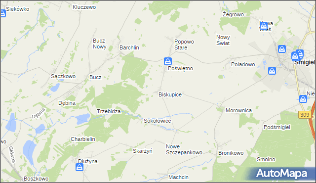 mapa Biskupice gmina Przemęt, Biskupice gmina Przemęt na mapie Targeo