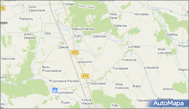 mapa Bogucice gmina Zadzim, Bogucice gmina Zadzim na mapie Targeo