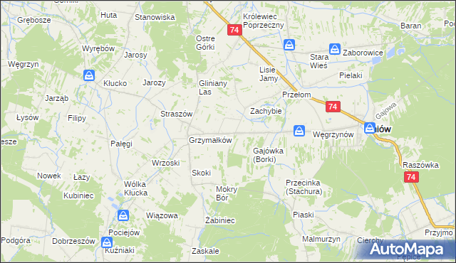 mapa Borki gmina Mniów, Borki gmina Mniów na mapie Targeo